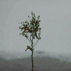 扬州毛巾厂家用小鹅营销导航
