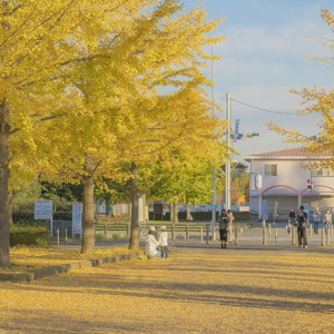 扬州毛巾厂家用小鹅营销导航
