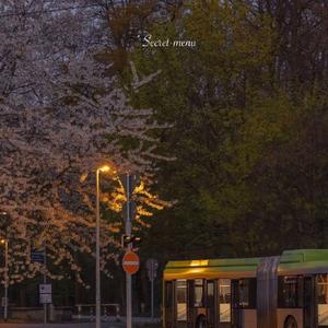 扬州毛巾厂家用小鹅营销导航
